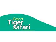 Tiger Safari